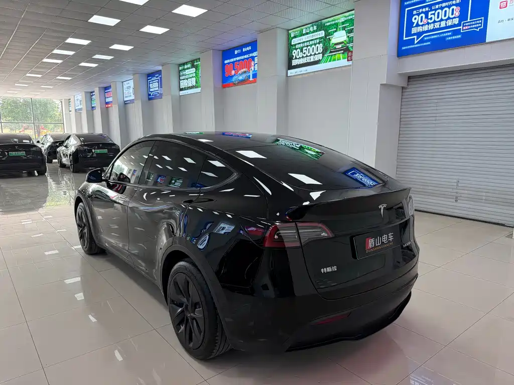 Tesla Model Y — миниатюра 4