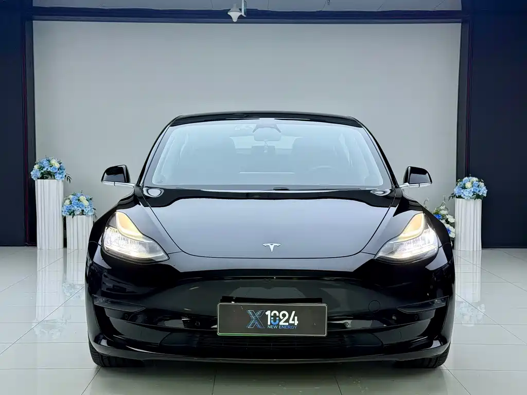 Tesla Model 3 — миниатюра 2