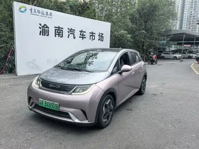 BYD Dolphin