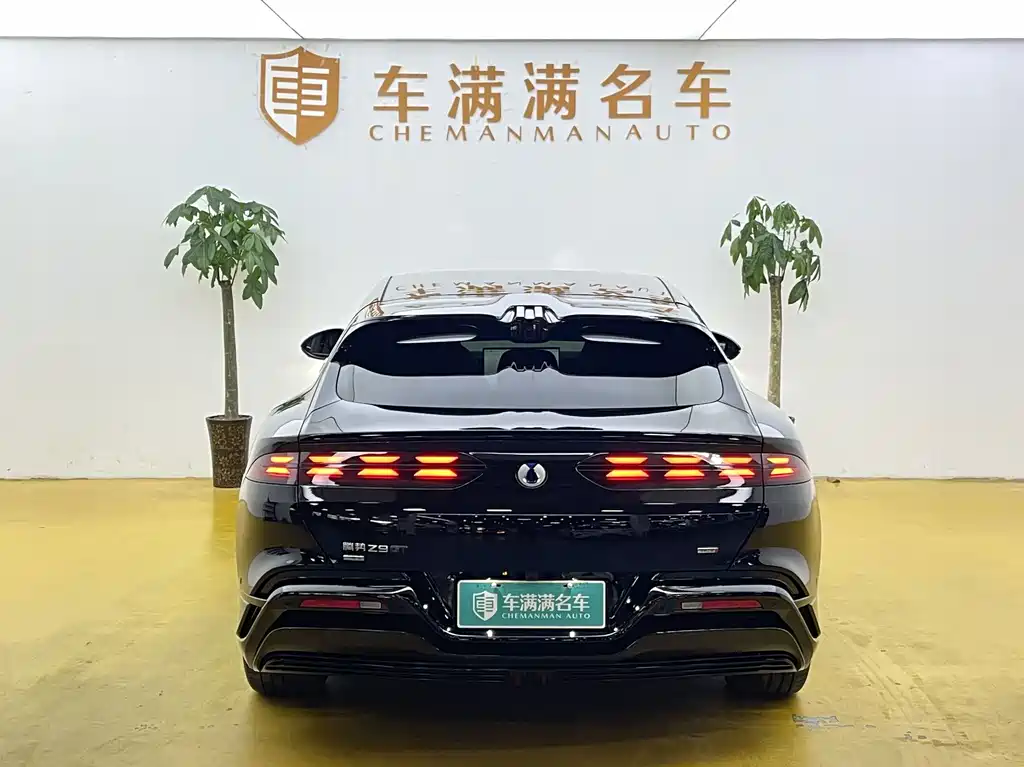 Denza Denza Z9GT — миниатюра 10