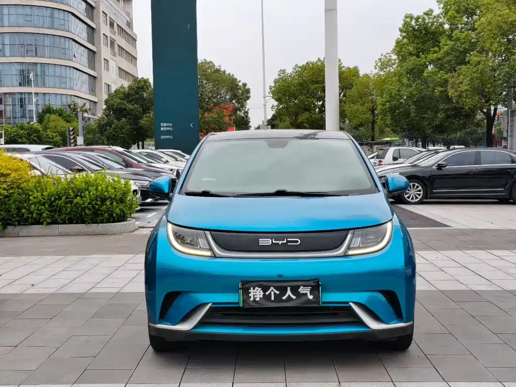 BYD Dolphin — миниатюра 2