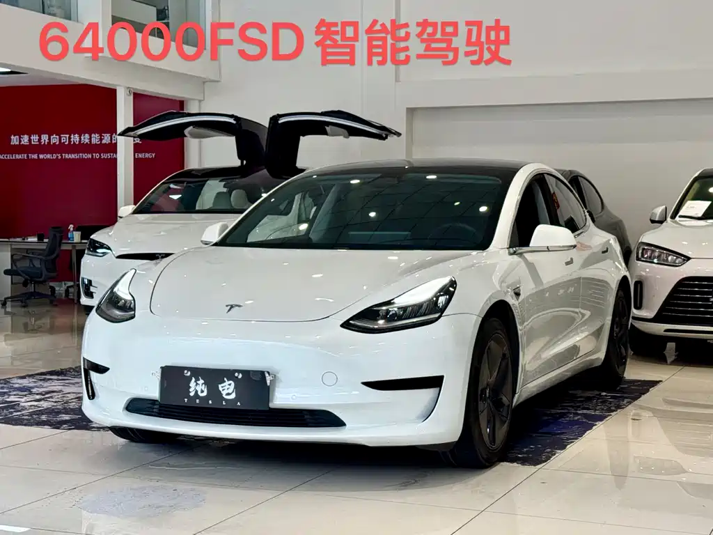 Tesla Model 3 2020 Standard Range RWD Upgrade Edition