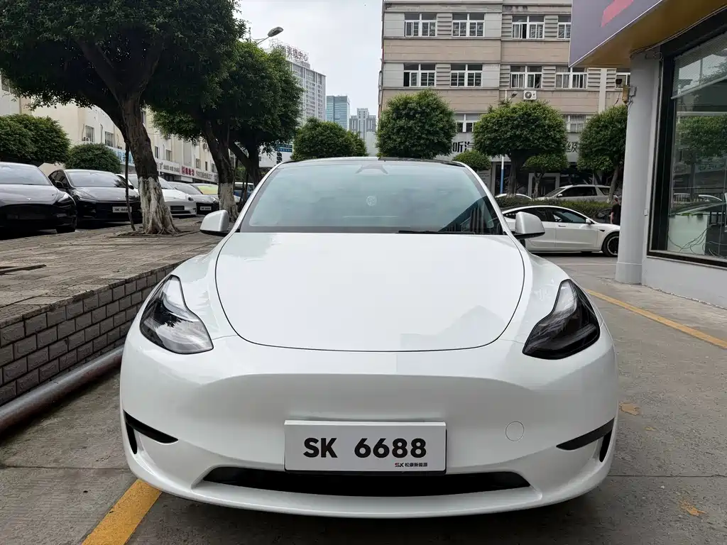 Tesla Model Y — миниатюра 2