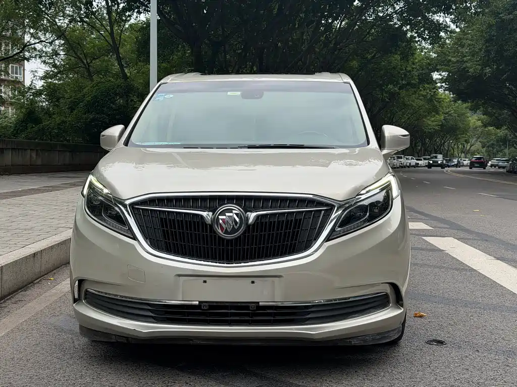 Buick GL8 — миниатюра 4