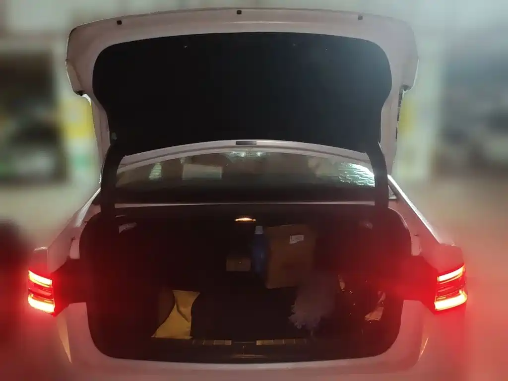 BYD Qin Pro NEV — миниатюра 10