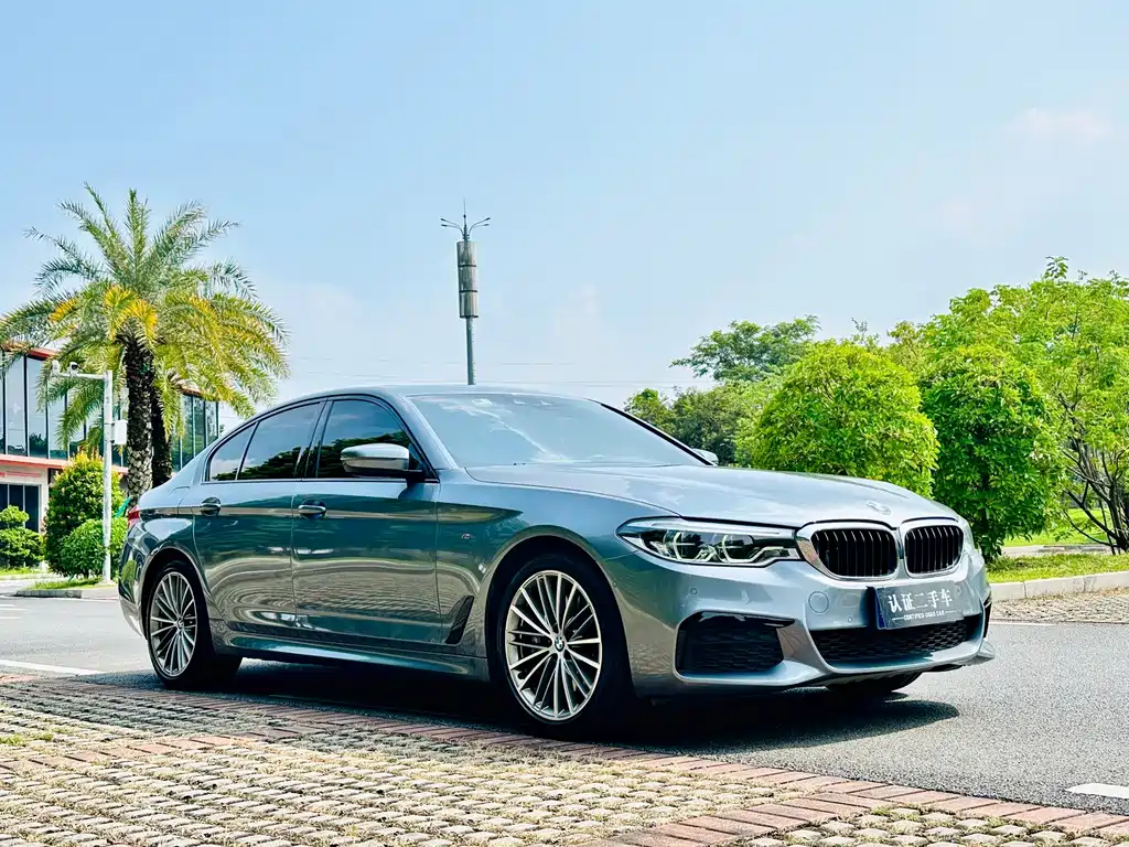BMW 5 Series (Import) — миниатюра 4
