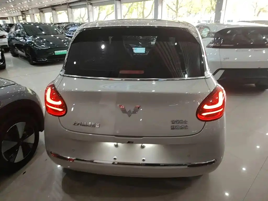 Wuling Binguo 2023 333km Enjoy +