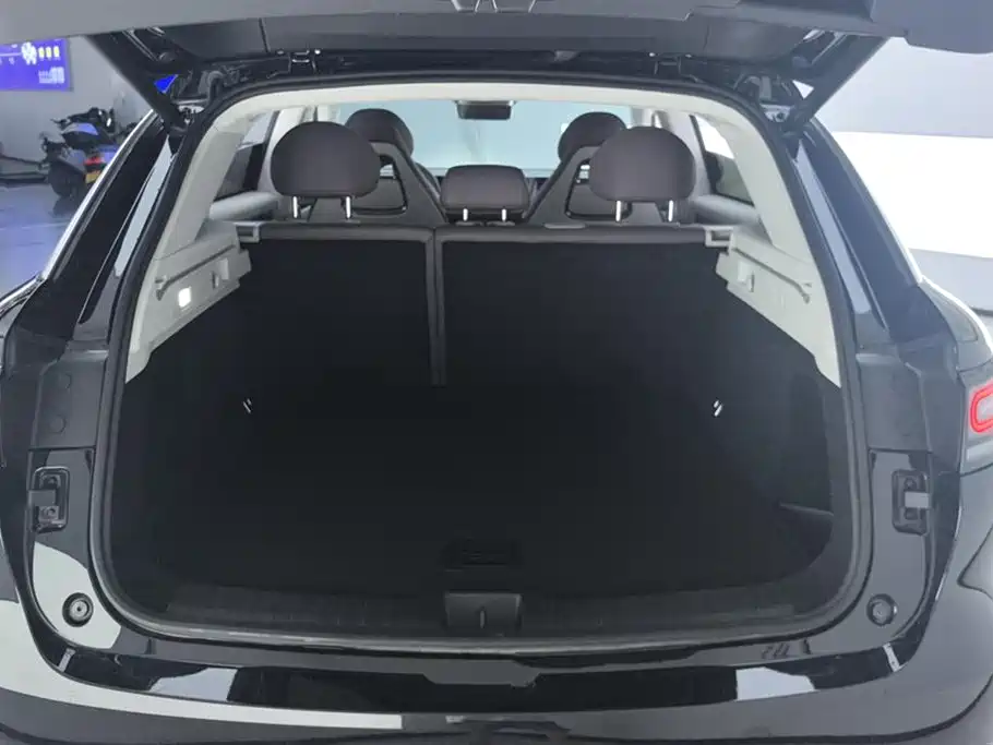 Leapmotor C11 2023 285 Smart