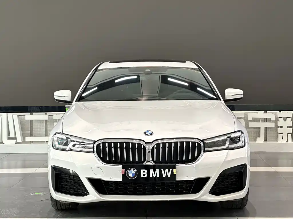 BMW 5 Series — миниатюра 2
