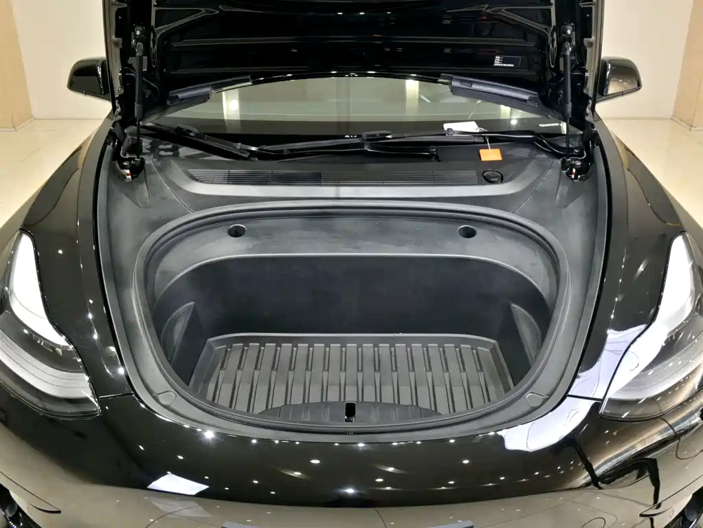 Tesla Model 3 — миниатюра 19