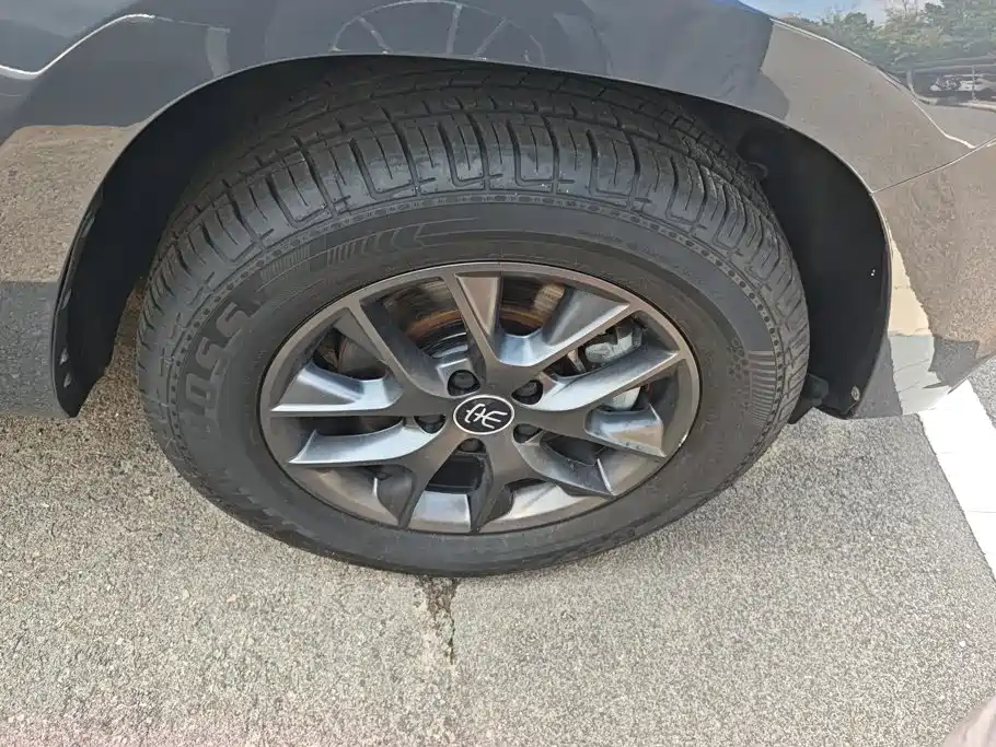 BYD Song — миниатюра 6