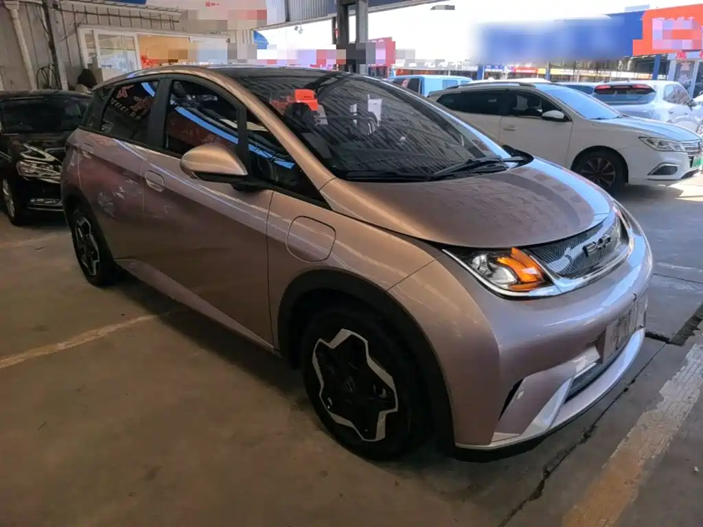 BYD Dolphin — миниатюра 4