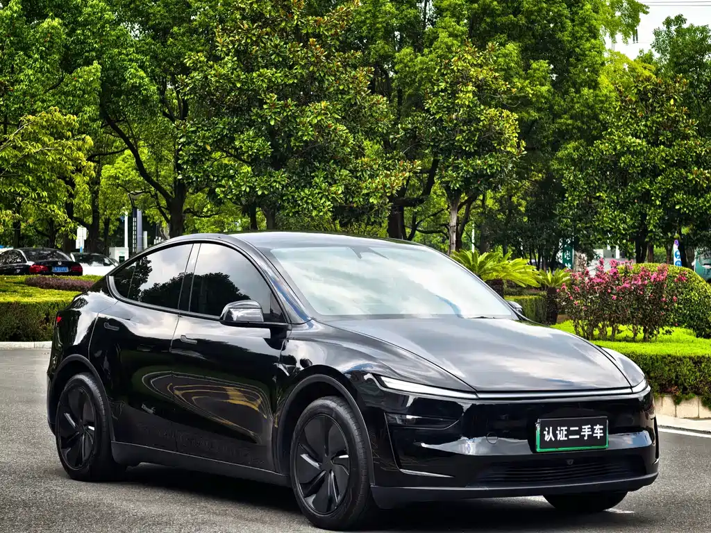 Tesla Model Y — миниатюра 3