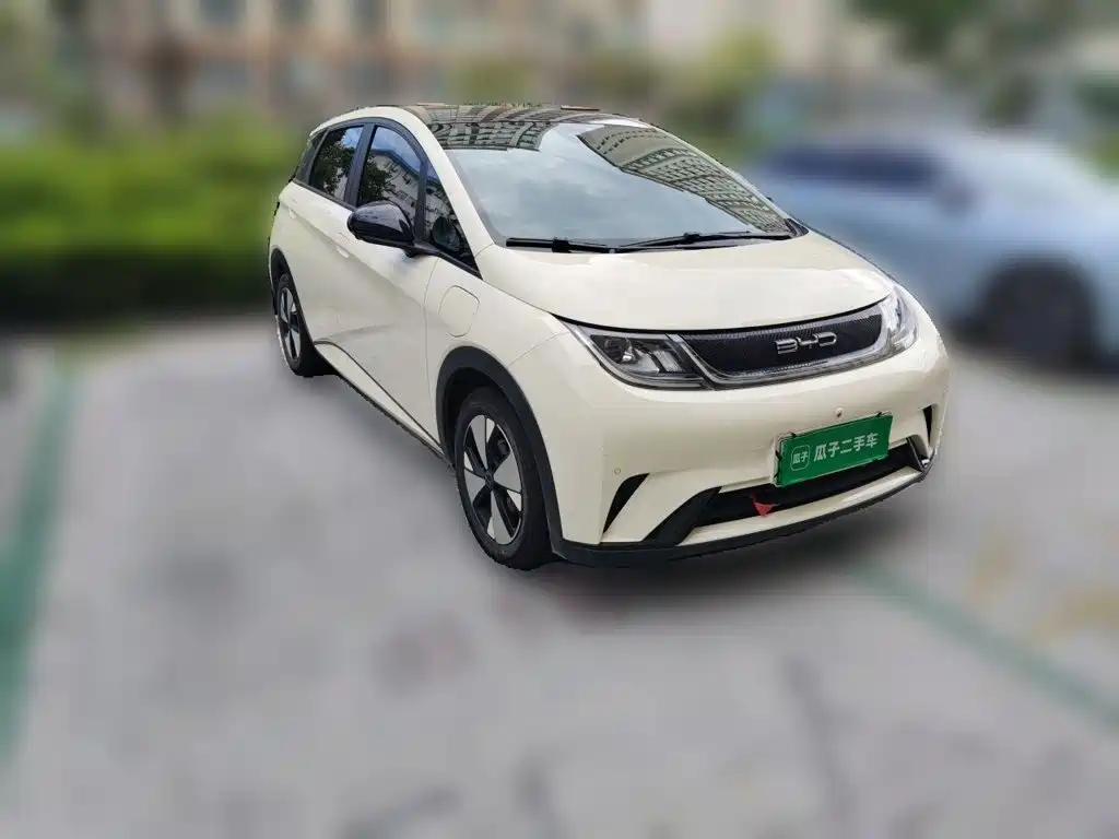 BYD Dolphin — миниатюра 24