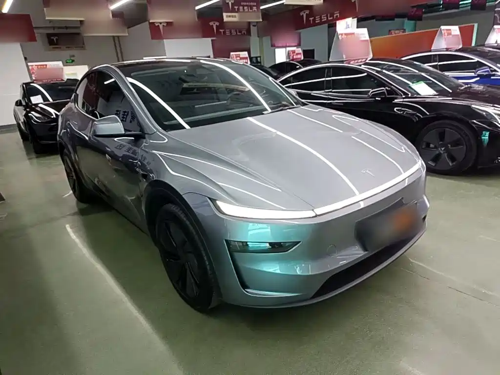 Tesla Model Y — миниатюра 4