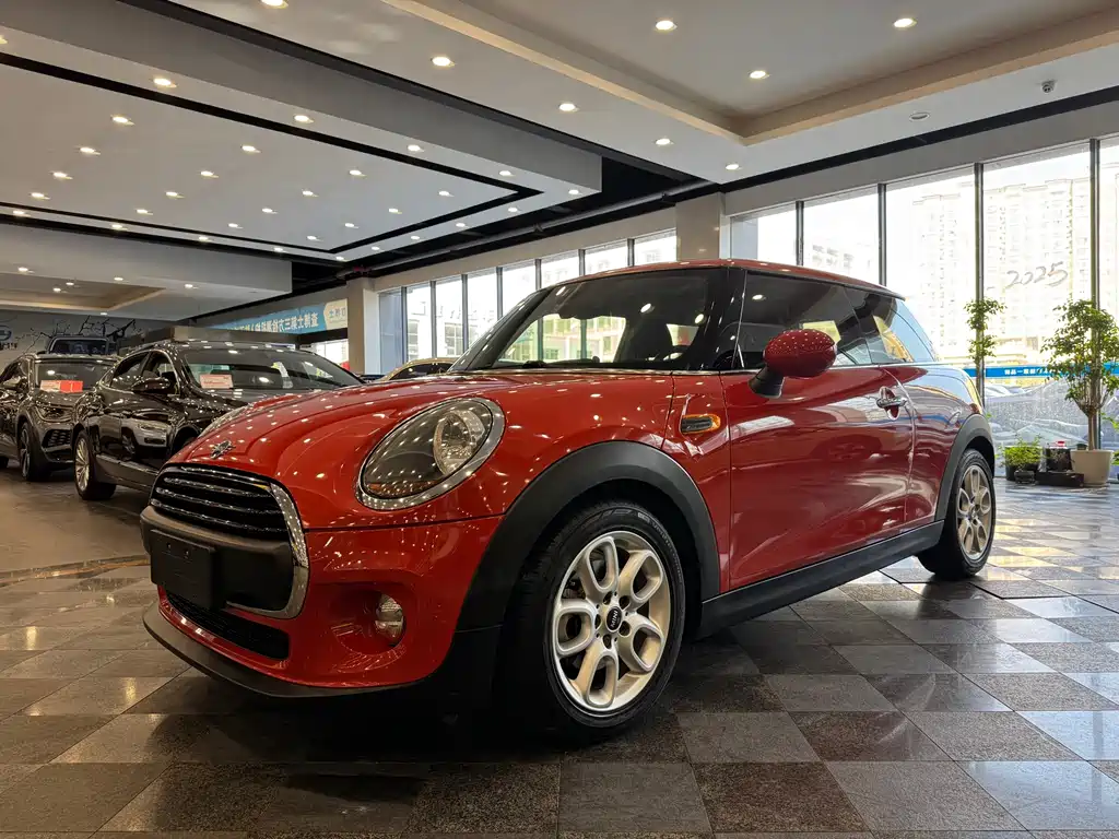 Mini Mini 2018