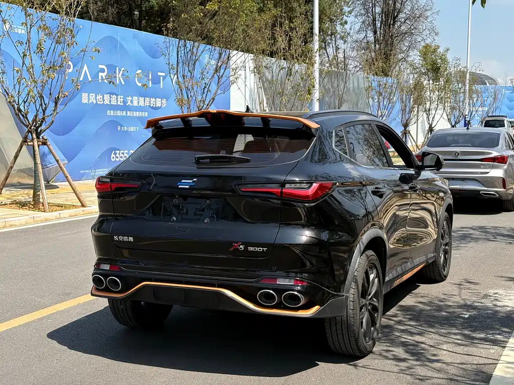 Oshan Oushang X5 — миниатюра 13