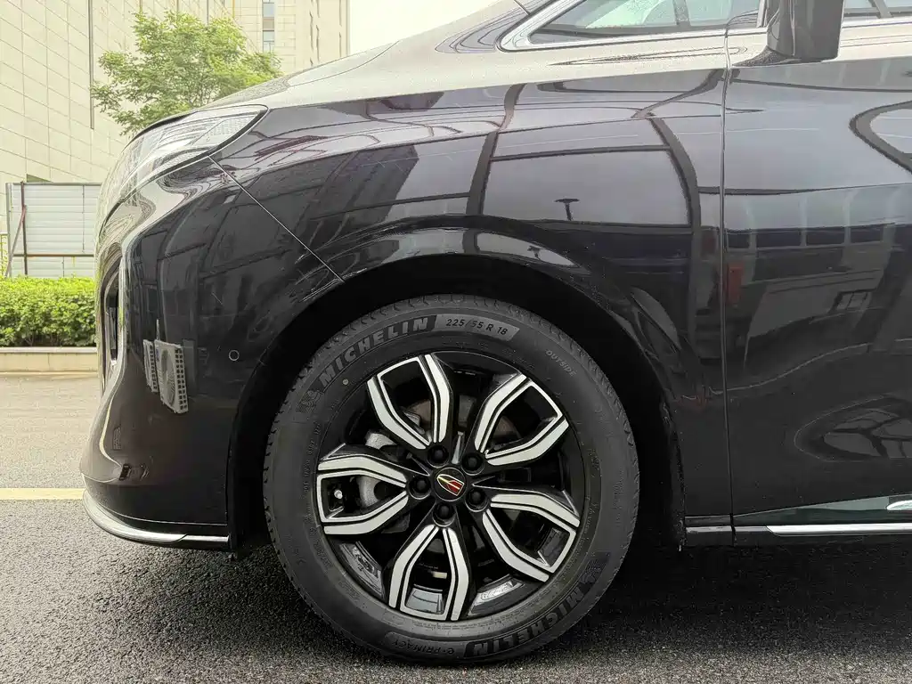 Hongqi Hongqi HQ9 — миниатюра 23
