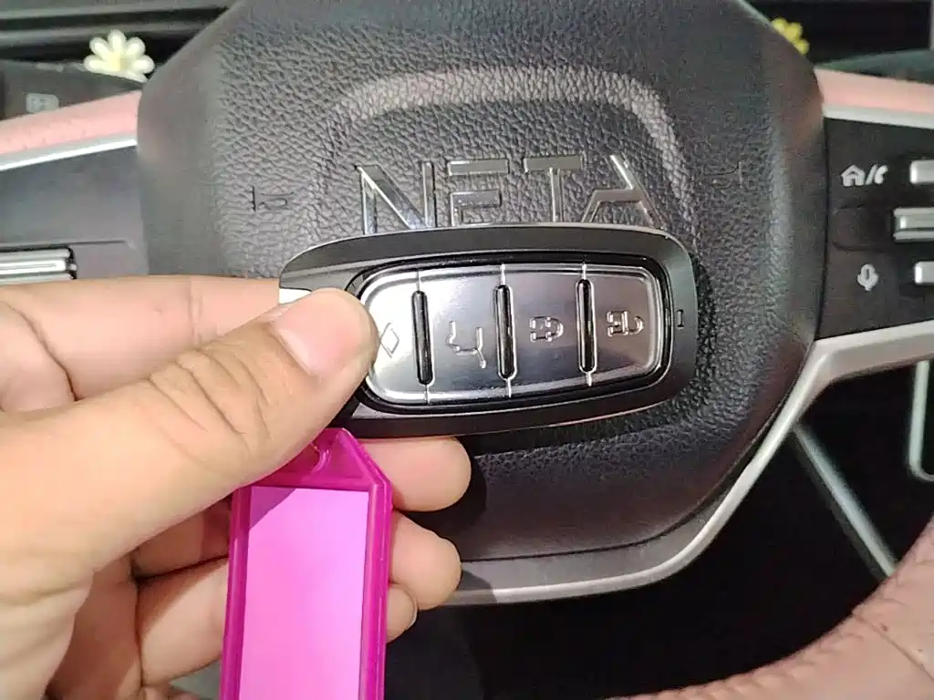 Neta Neta V — миниатюра 9