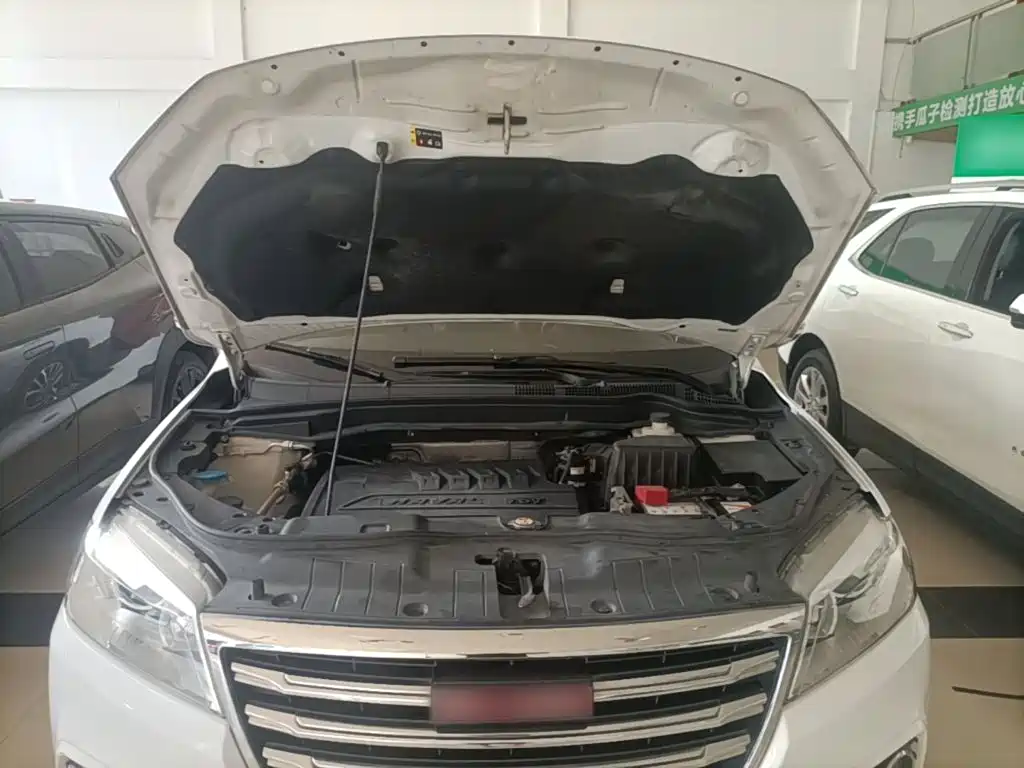 Haval H6 — миниатюра 20