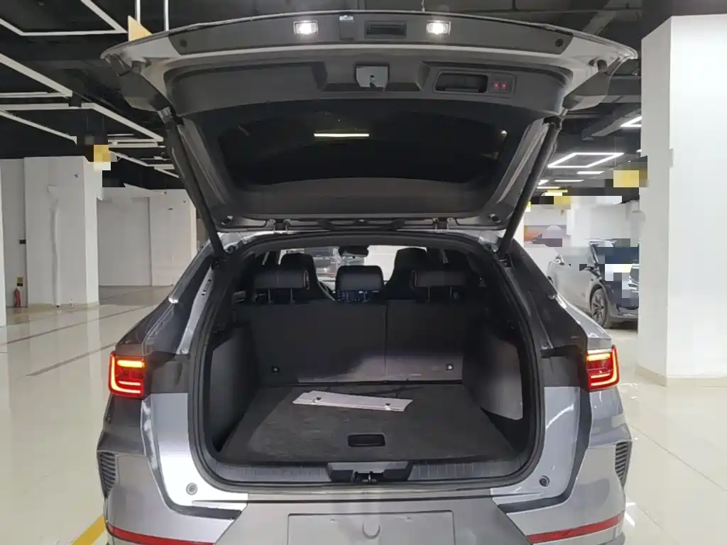 BYD PLUS New Energy — миниатюра 19
