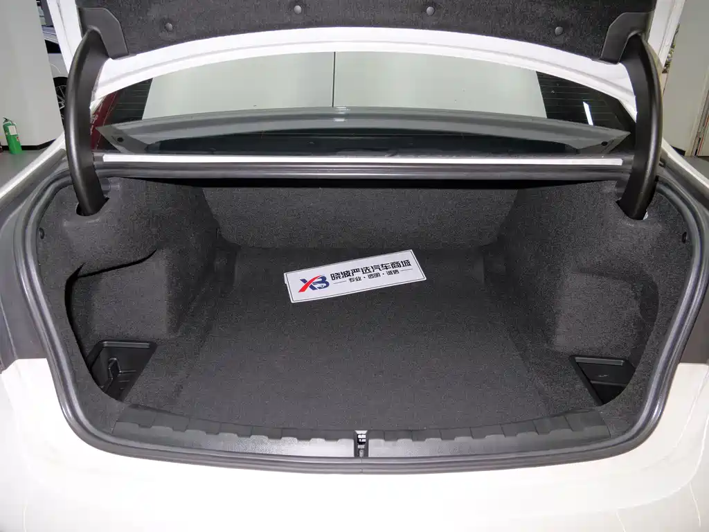 BMW 3 Series 3 2024 325Li M Sport