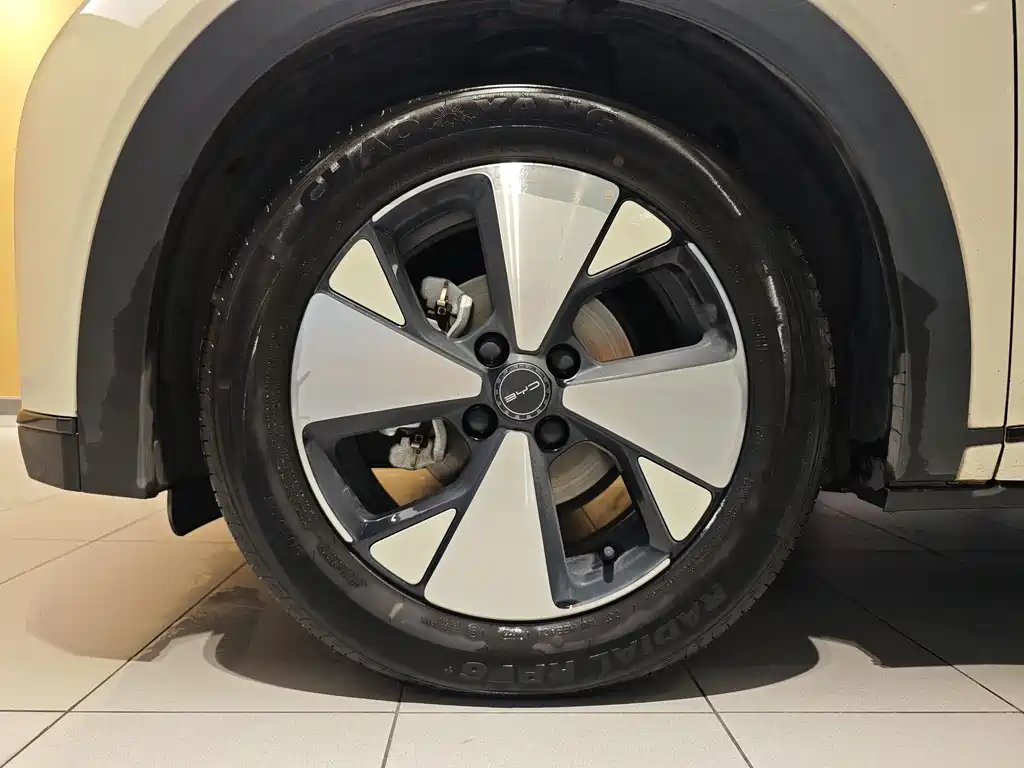 BYD Dolphin 2023 420km Fashion
