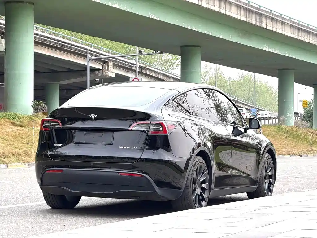 Tesla Model Y — миниатюра 14