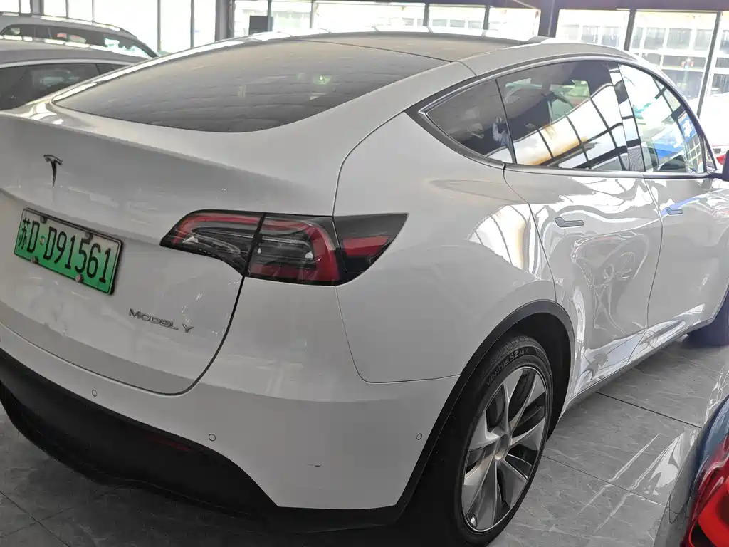 Tesla Model Y — миниатюра 5