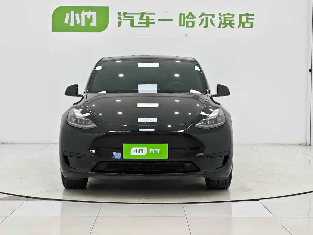 Tesla Model Y — миниатюра 2