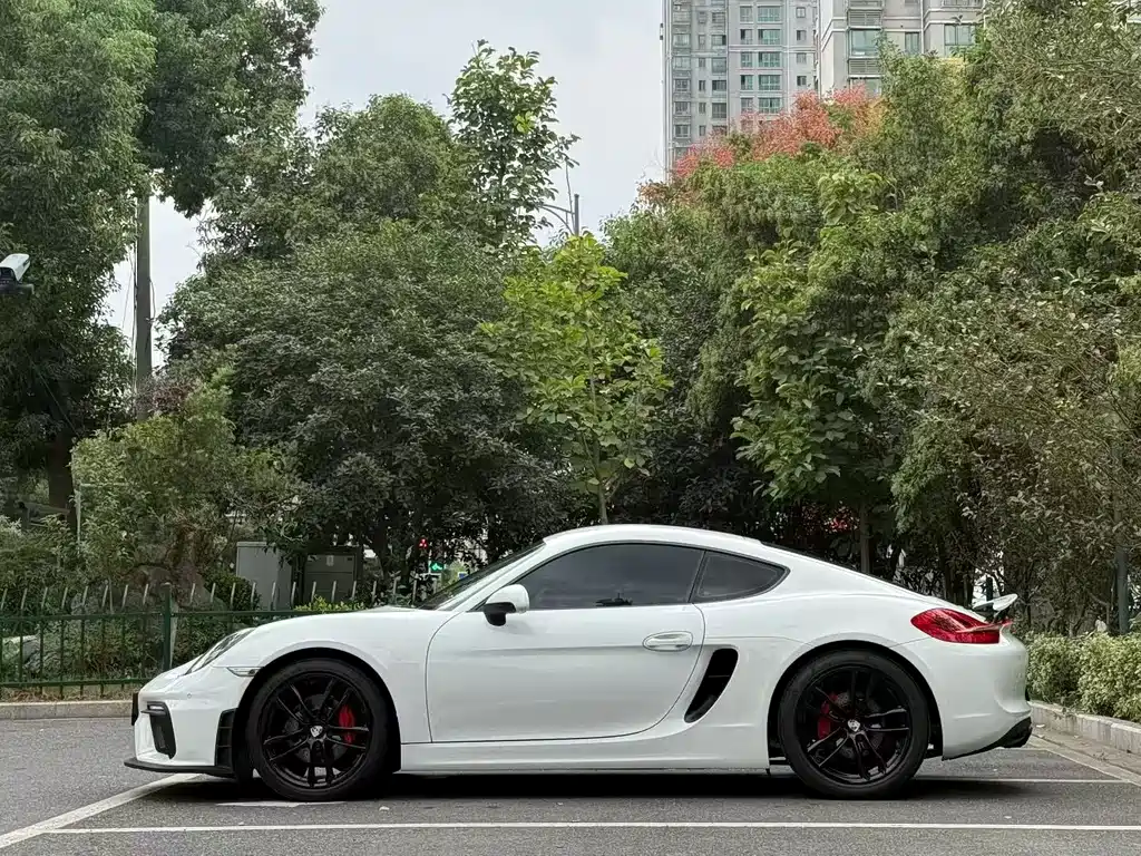 Porsche Cayman — миниатюра 4