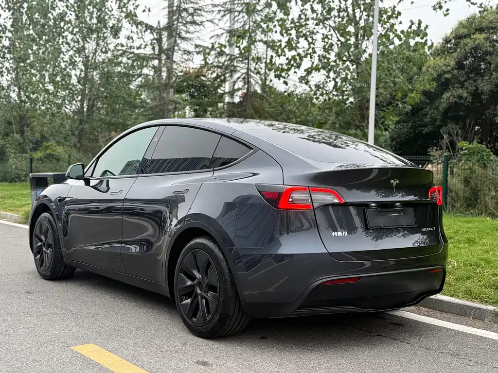 Tesla Model Y — миниатюра 4