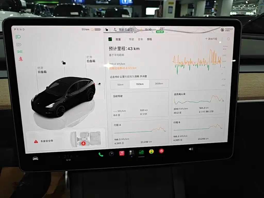 Tesla Model Y — миниатюра 13