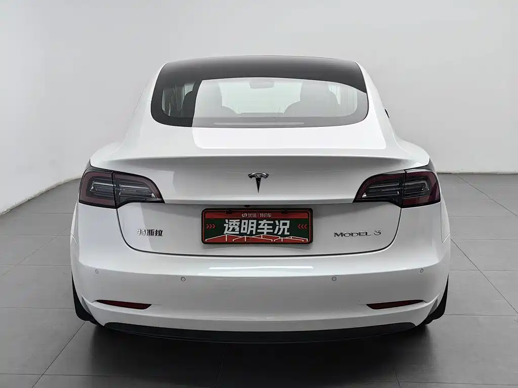 Tesla Model 3 — миниатюра 4