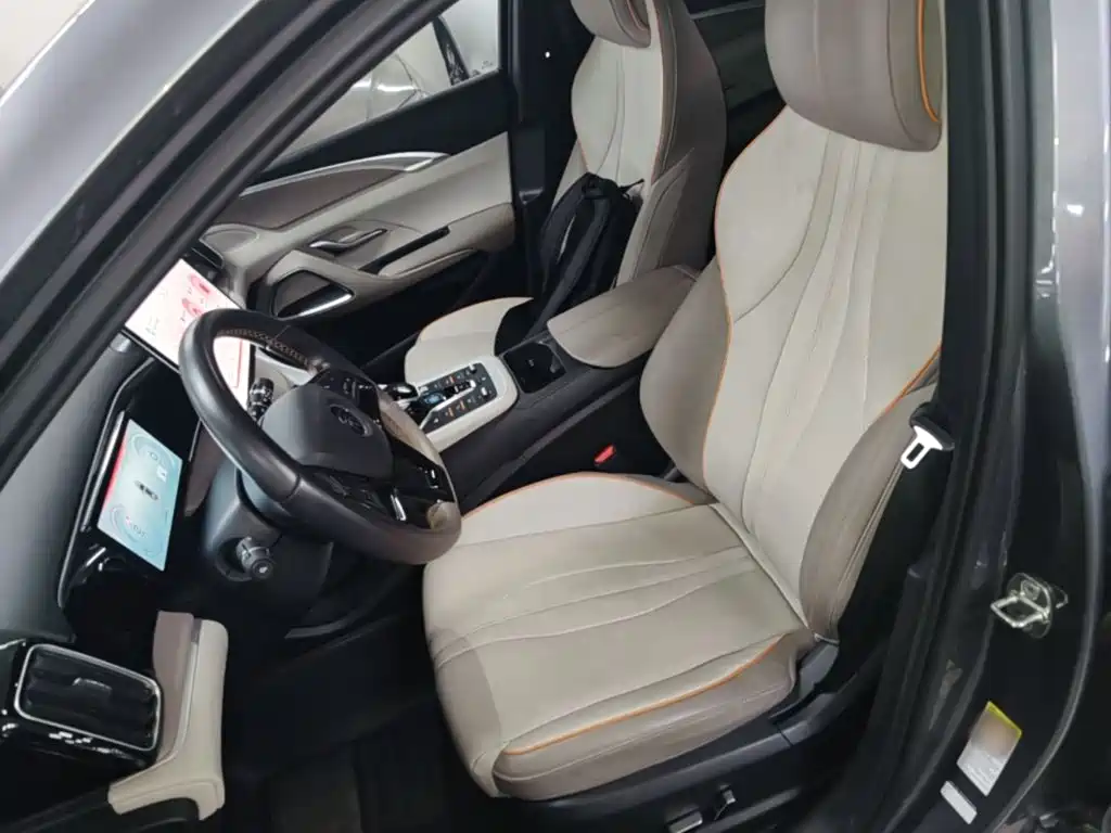 BYD Pro New Energy — миниатюра 15