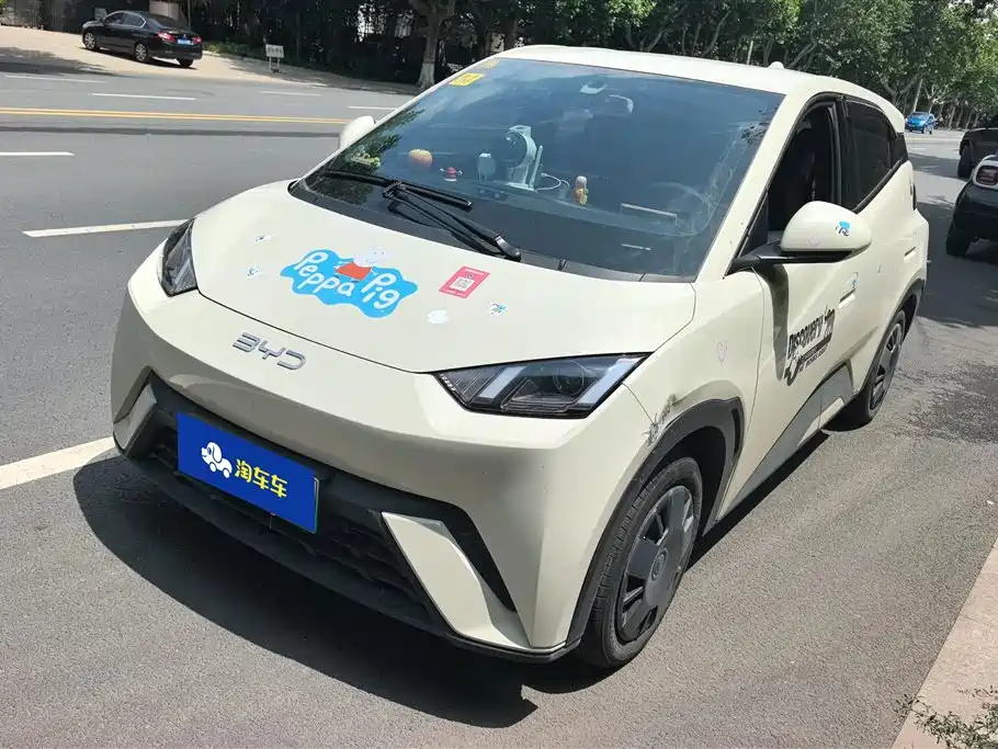 Byd Seagull 2024