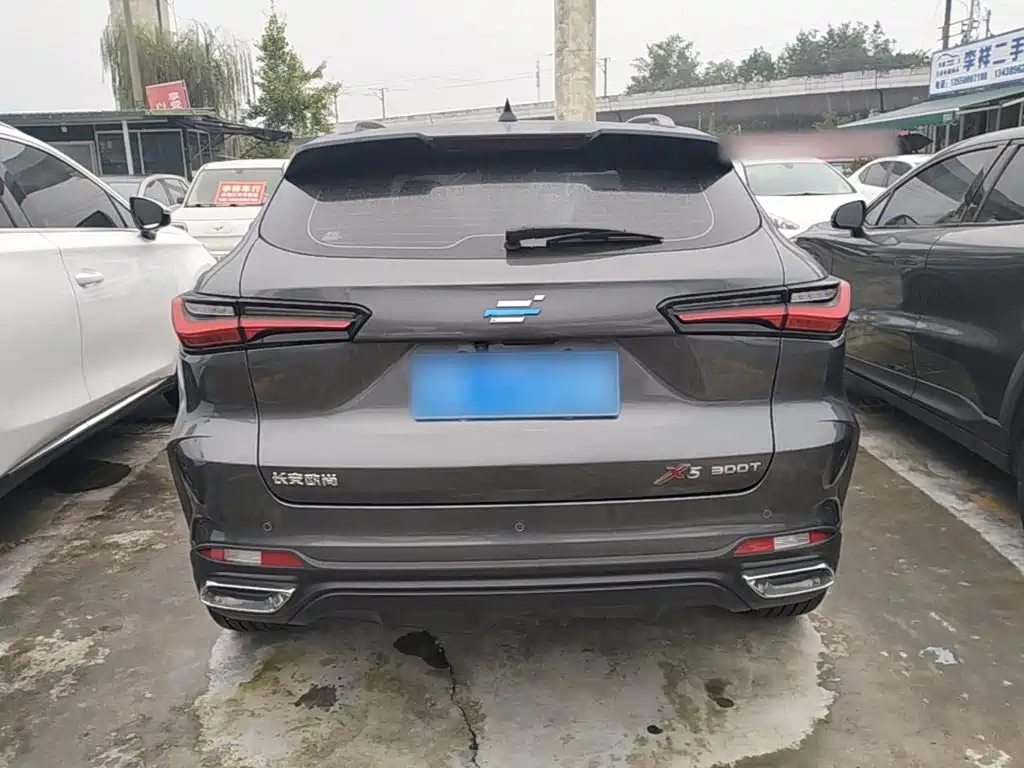 Oshan Oushang X5 — миниатюра 6