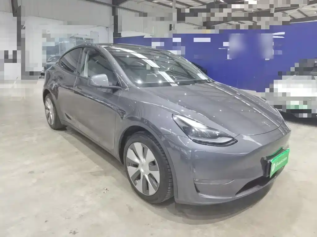 Tesla Model Y — миниатюра 4