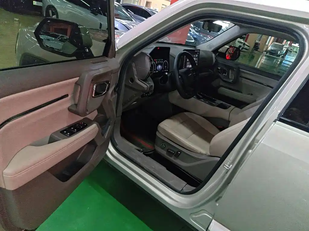 Haval Big Dog PLUS New Energy — миниатюра 16