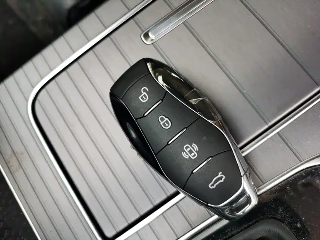 Hongqi HS7 PHEV 2024 2.0T PHEV 6 мест