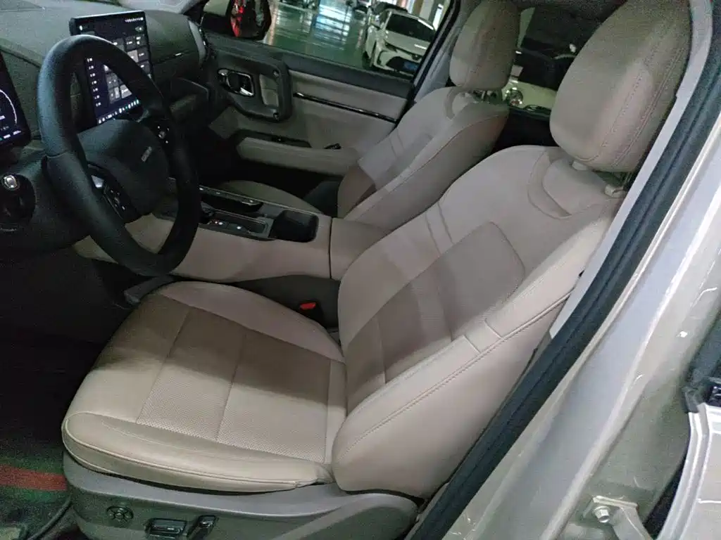 Haval Big Dog PLUS New Energy — миниатюра 15