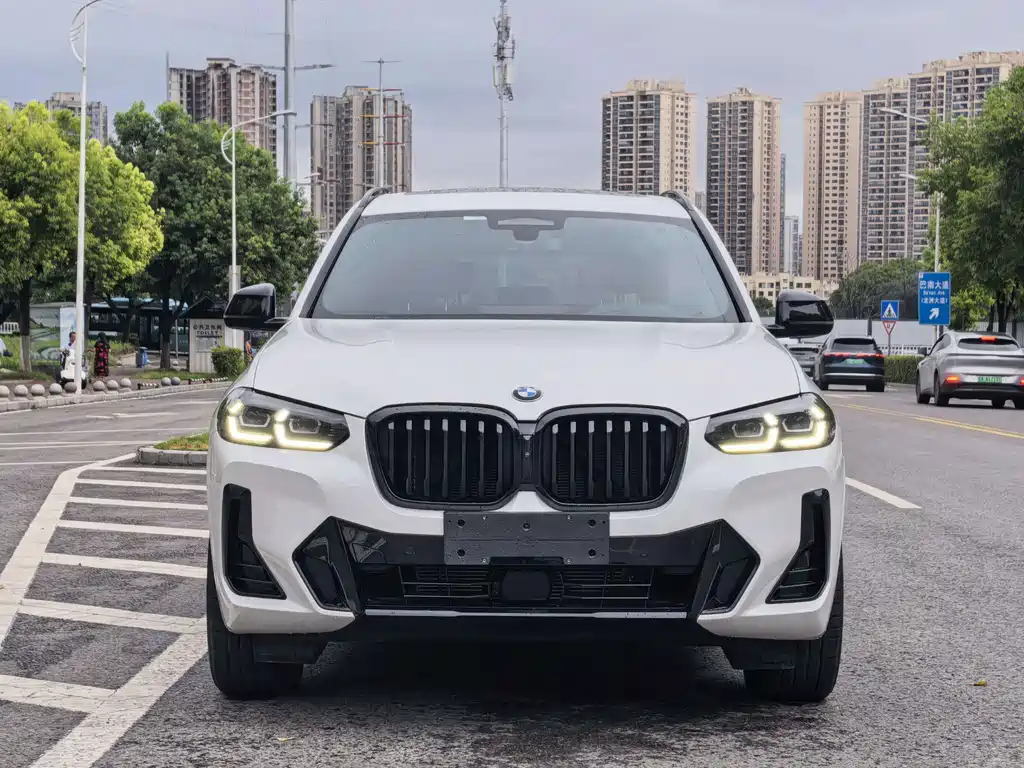 BMW X3 — миниатюра 2