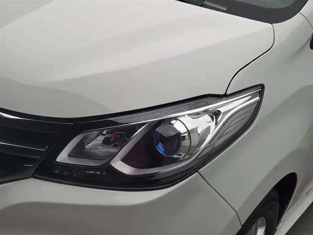 SAIC MAXUS CHASE G10