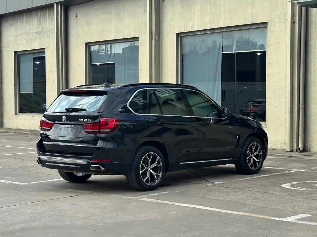BMW X5 New Energy (Import) — миниатюра 14