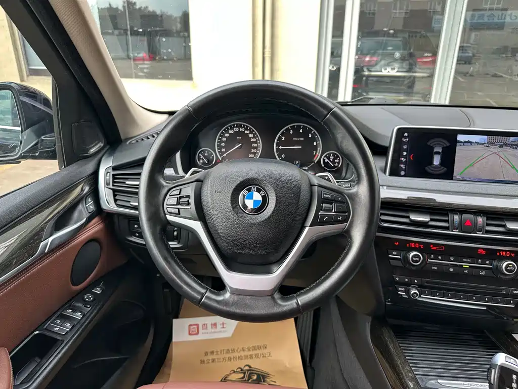 BMW X5 New Energy (Import) — миниатюра 8