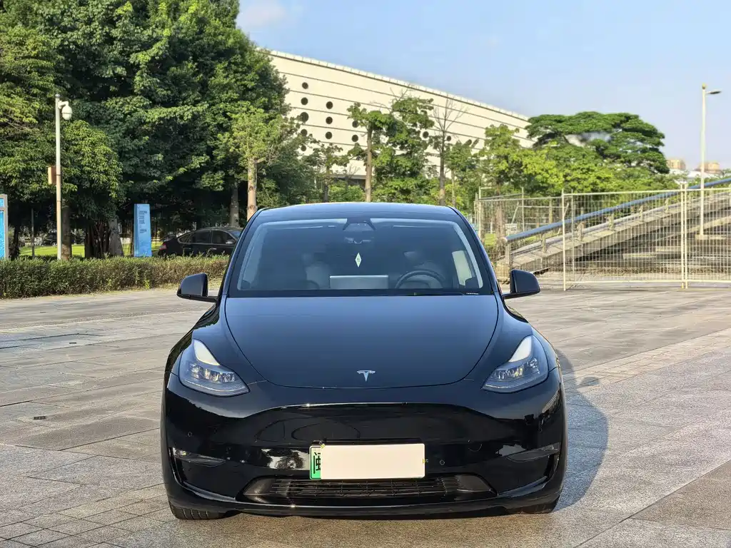 Tesla Model Y — миниатюра 2
