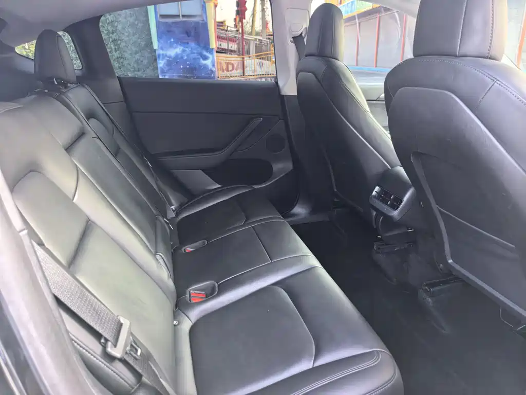 Tesla Model Y — миниатюра 12