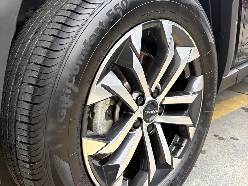 Haval Big Dog PLUS — миниатюра 9