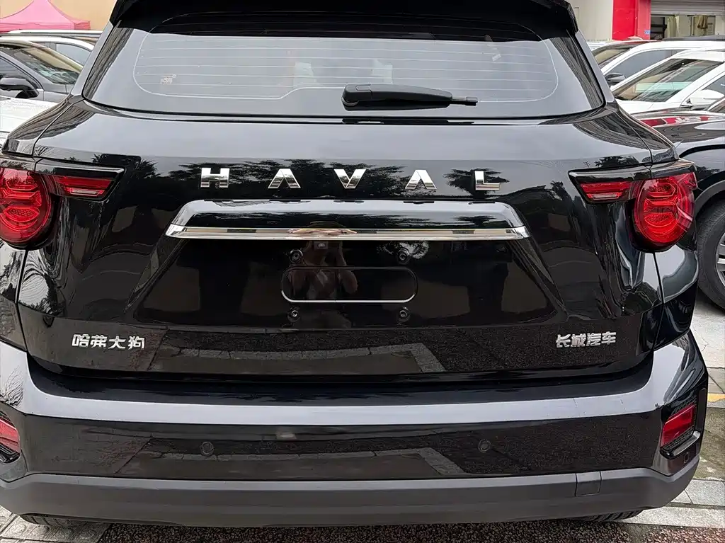 Haval Big Dog PLUS — миниатюра 7