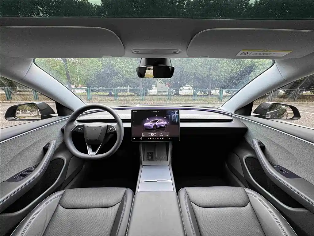Tesla Model 3 — миниатюра 14